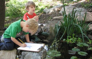 pond sketching (3)